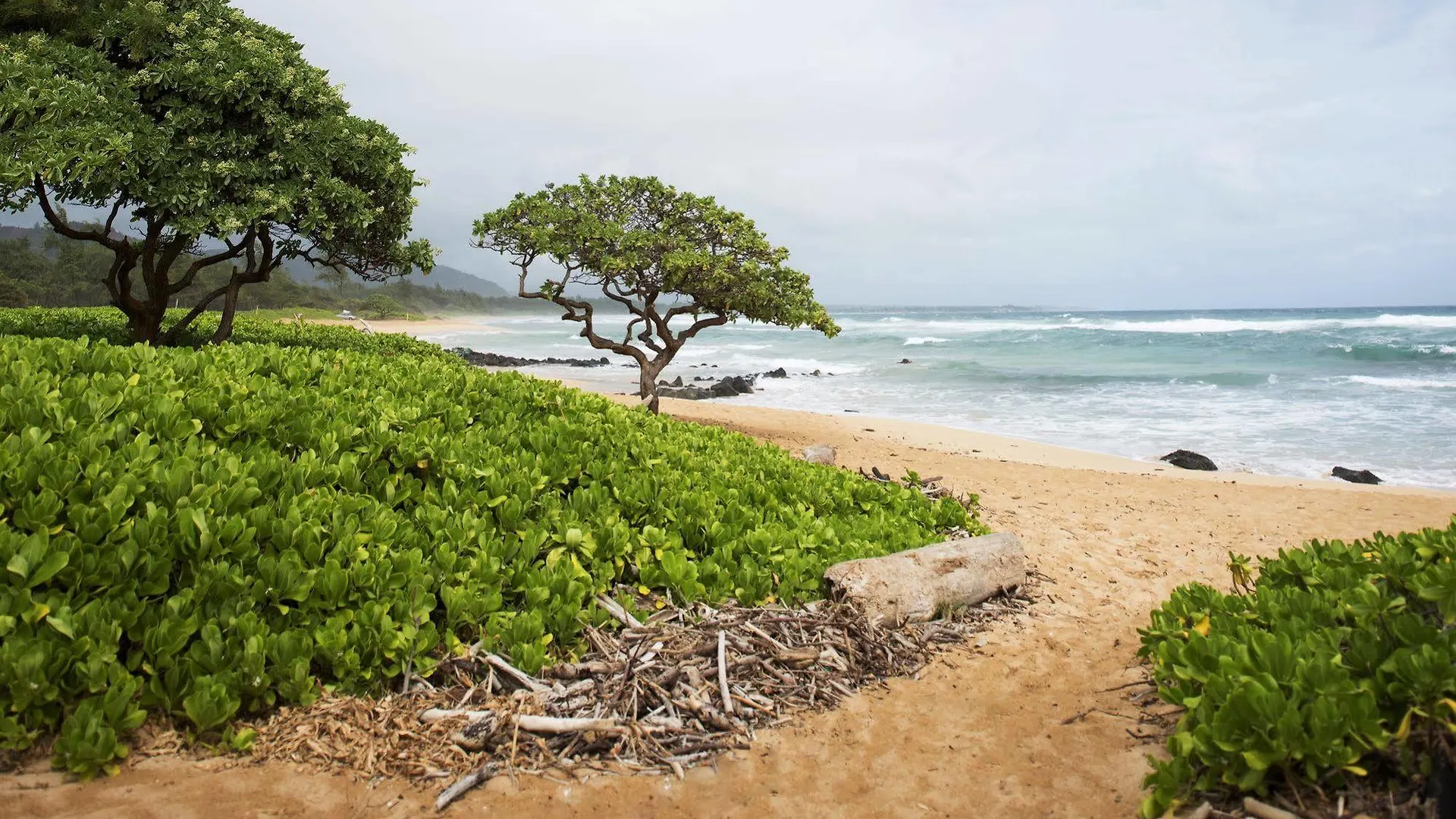 Kauai Beach Villas Lihue