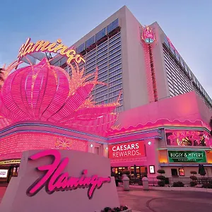 flamingo-las-vegas.las-vegashotels.net/